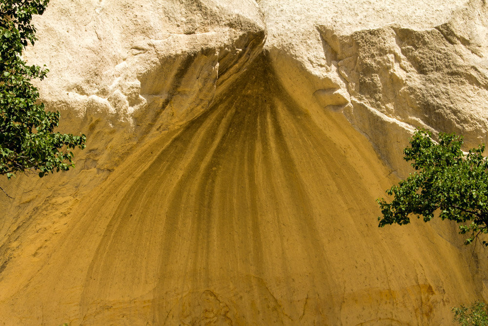 Ein "Naturfächer" steht Kopf