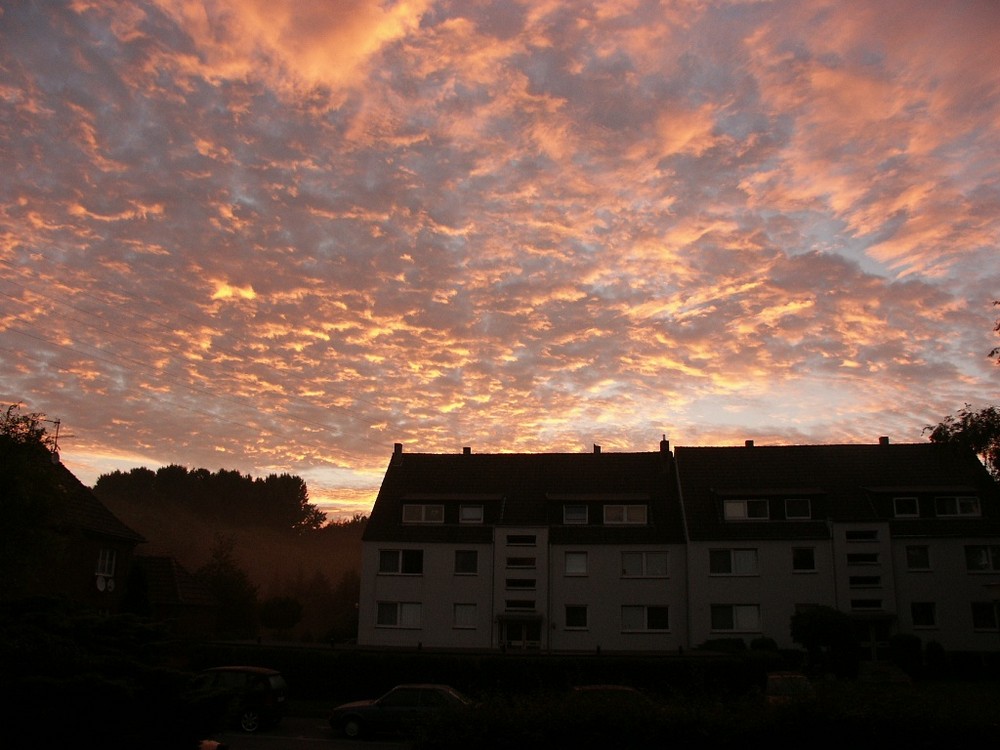 Ein Naturschauspiel am frühen Morgen