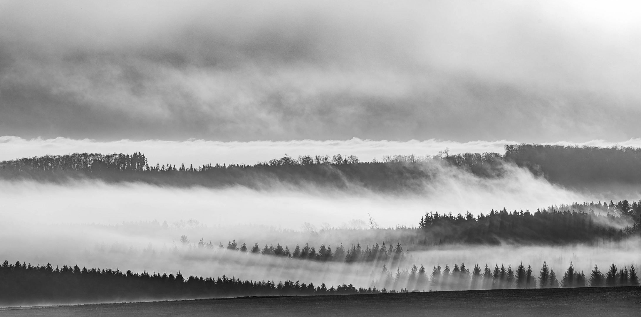 "Ein Nebel hat die Welt so weich zerstört ..."