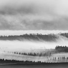 "Ein Nebel hat die Welt so weich zerstört ..."