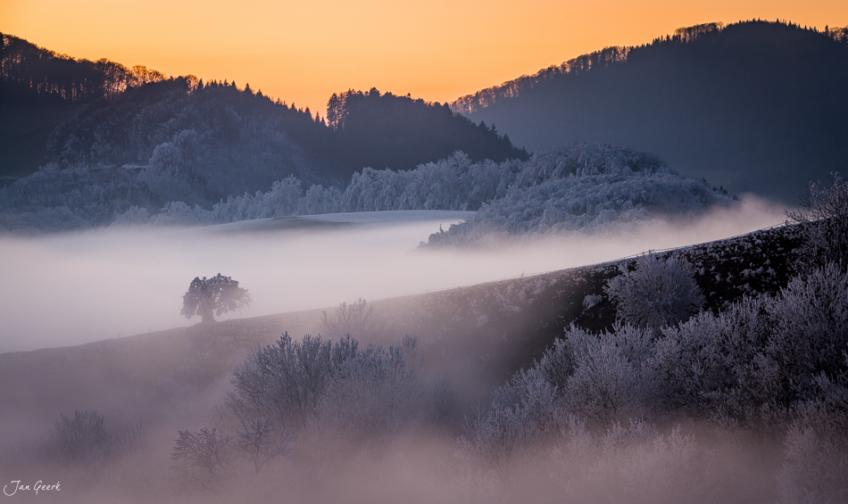 Ein Nebel macht die Dinge wunderschön