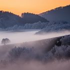 Ein Nebel macht die Dinge wunderschön