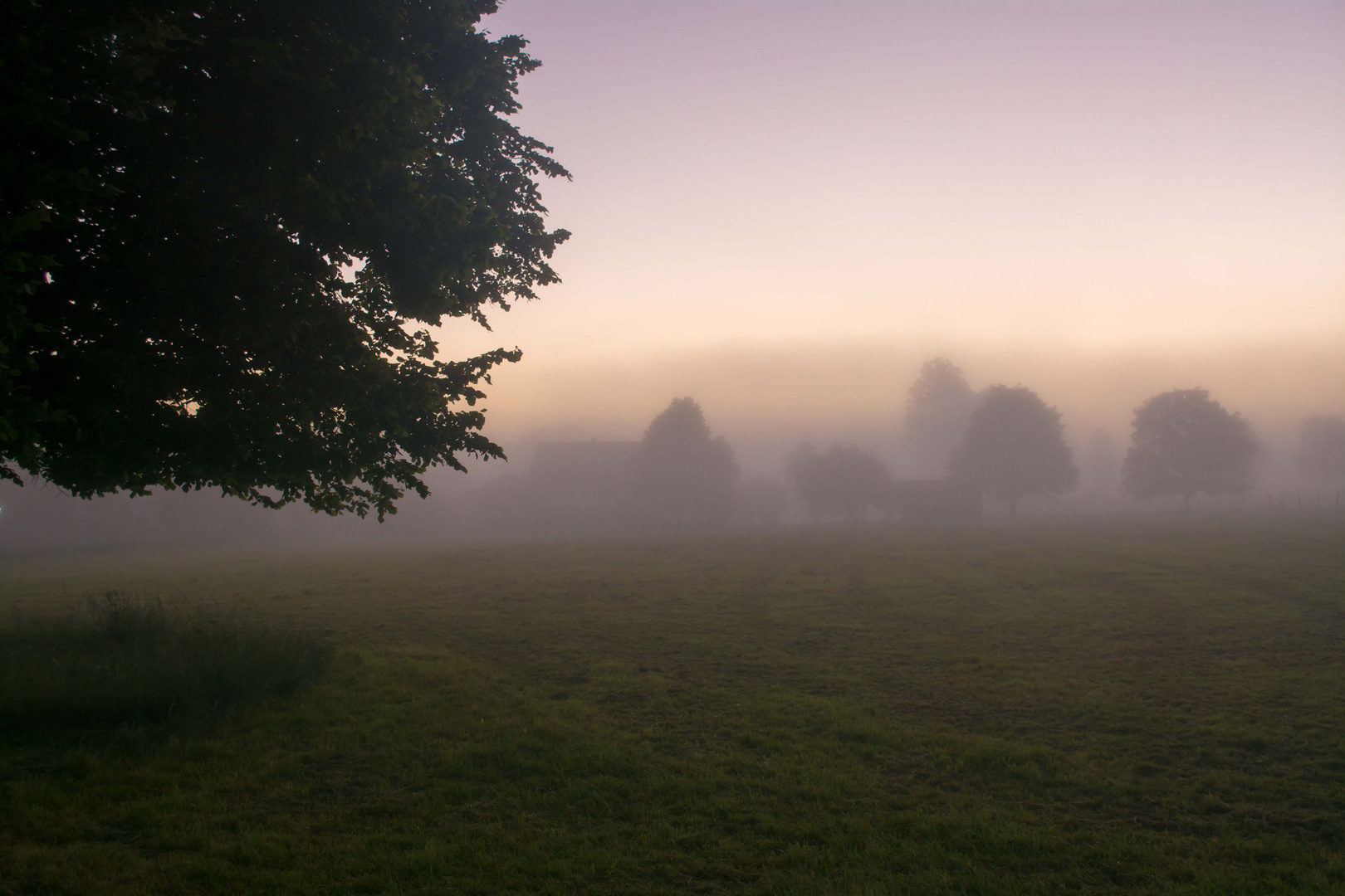 Ein Nebel-Morgen im Juni 2016