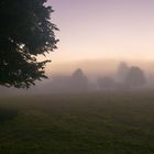 Ein Nebel-Morgen im Juni 2016