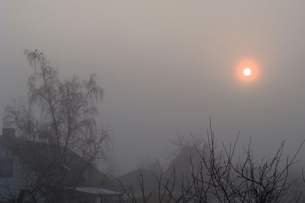 Ein Nebelbild vom Herbst