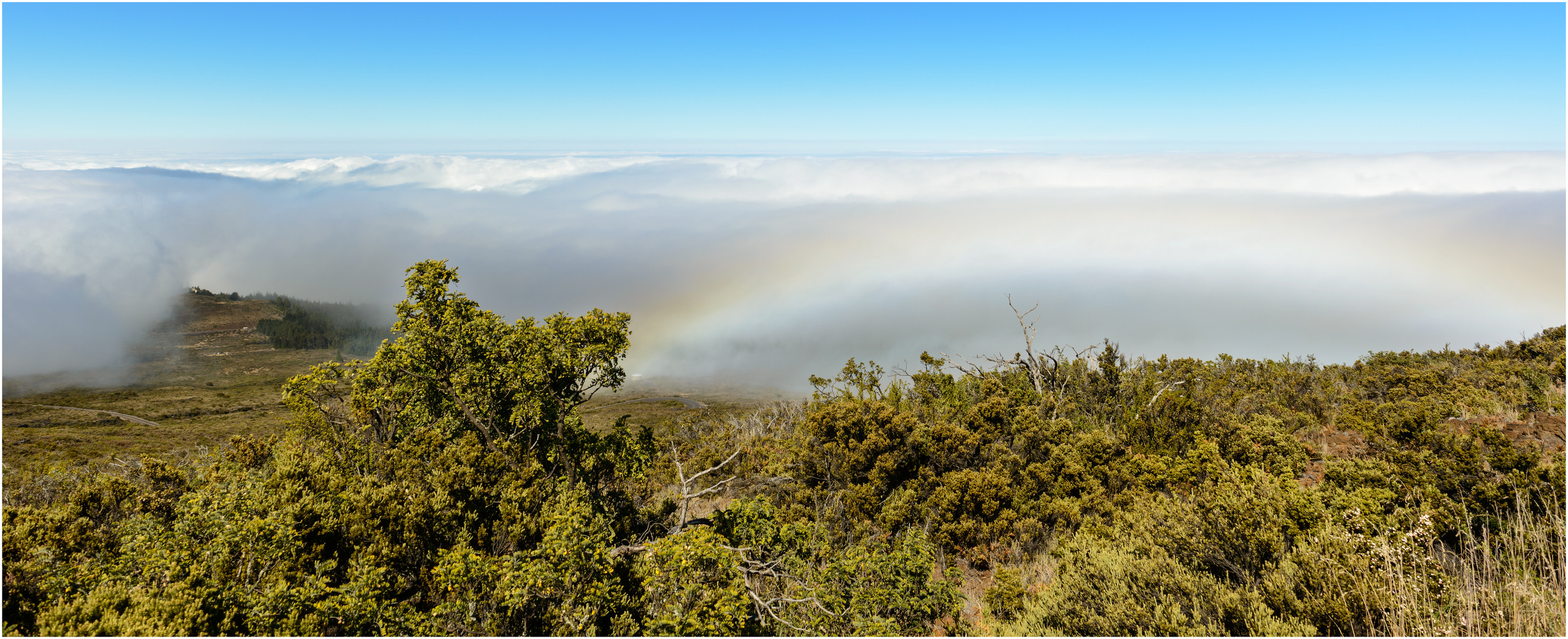 Ein Nebelbogen, Maui, Hawaii