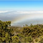 Ein Nebelbogen, Maui, Hawaii