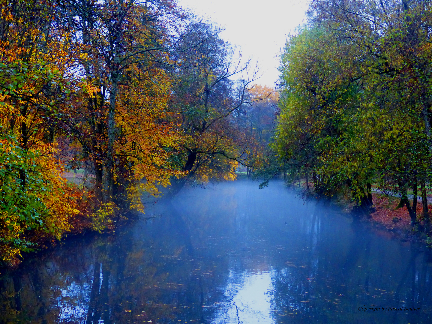 Ein nebeliger Blick über die Saale