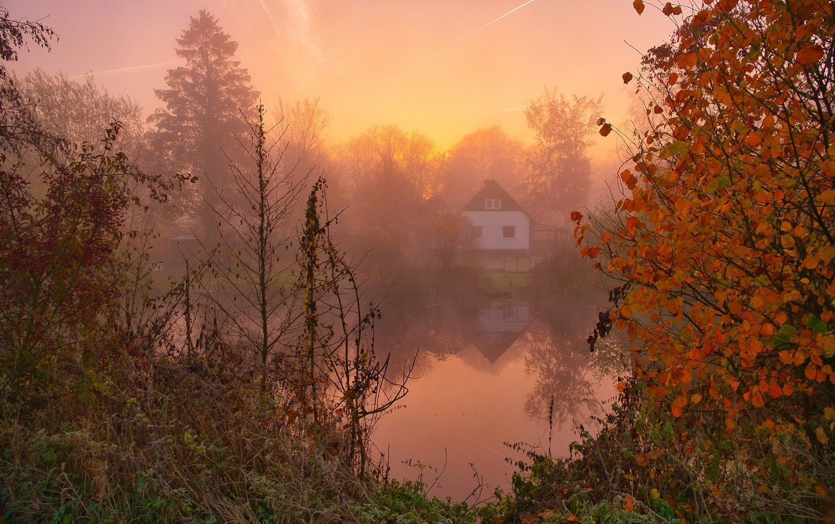 Ein nebeliger Herbstmorgen