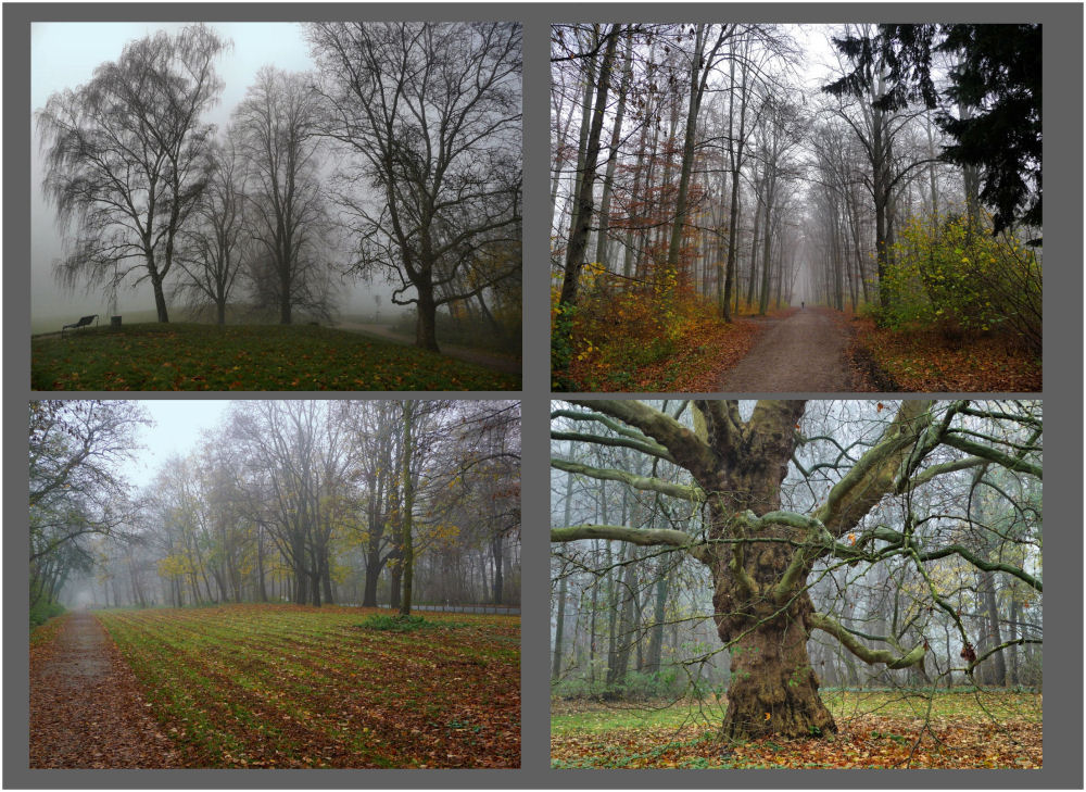 Ein nebeliger Herbsttag im Park