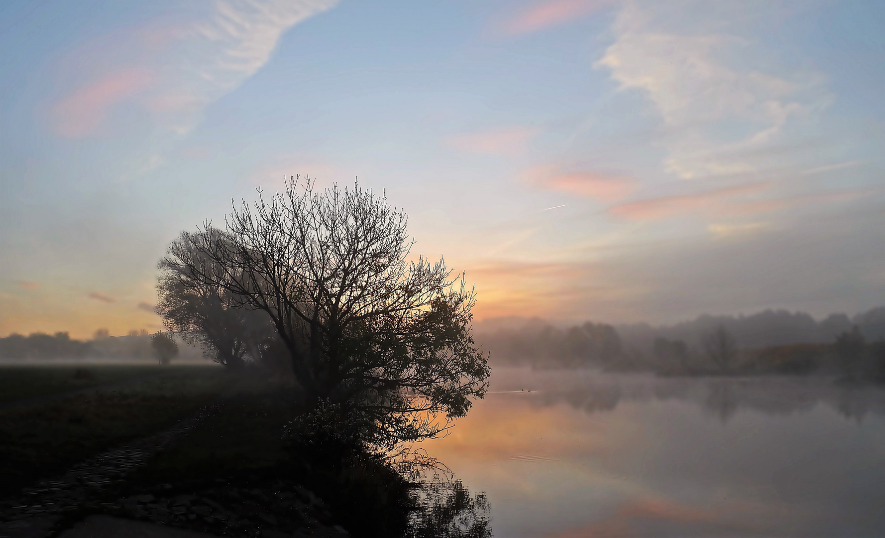 Ein nebeliger Morgen