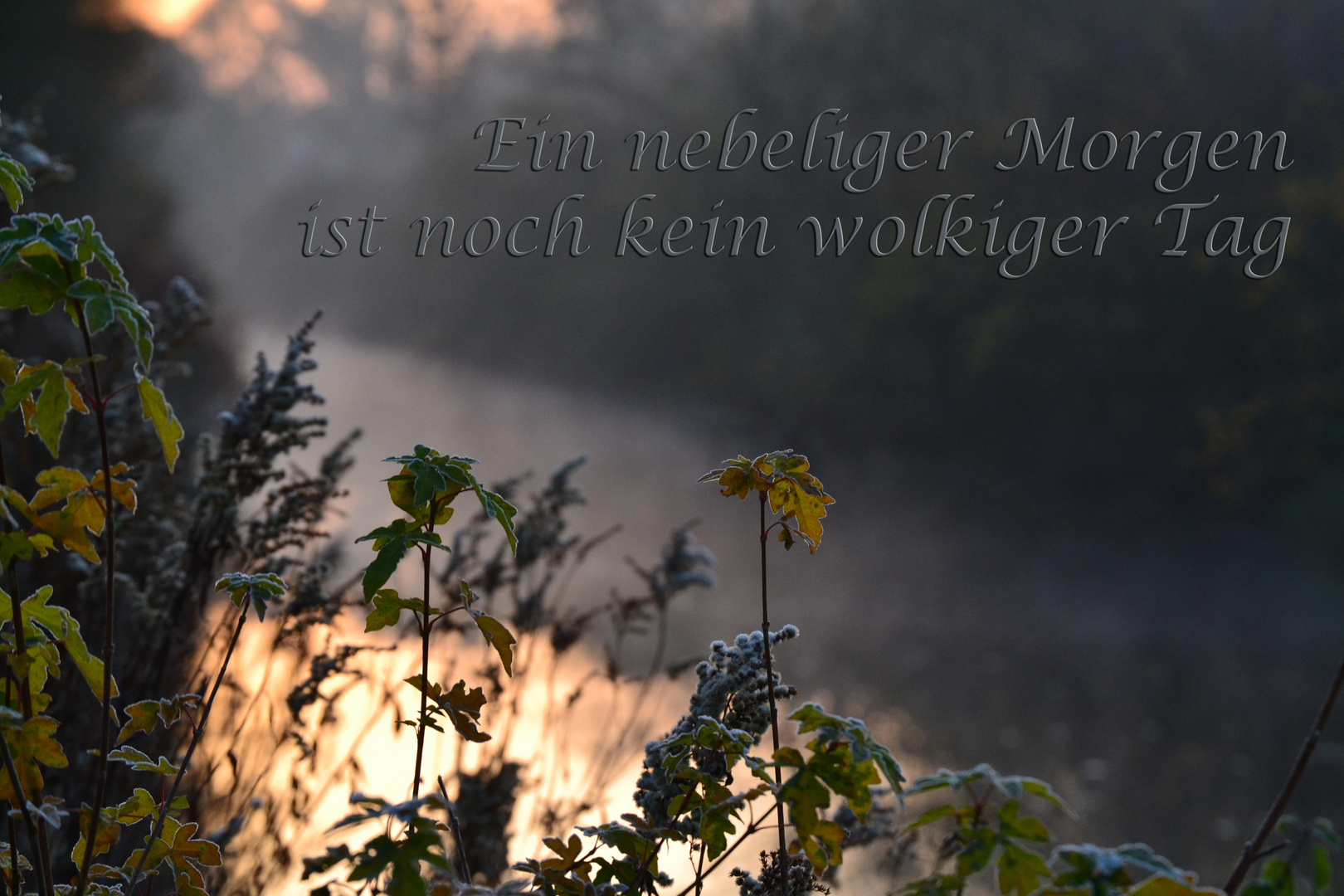 Ein nebeliger Morgen