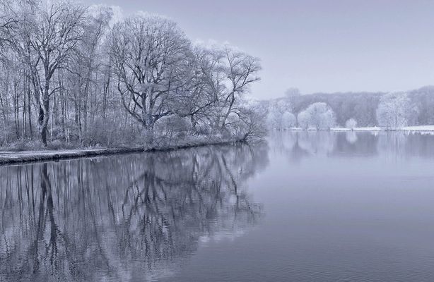 Ein nebeliger Tag im Winter....