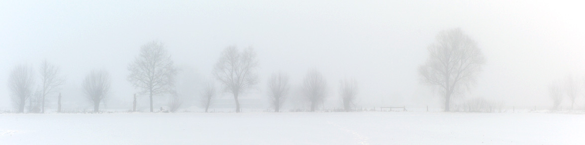 ein nebeliger Wintertag