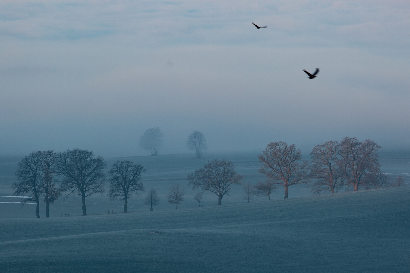 Ein Nebelmorgen....