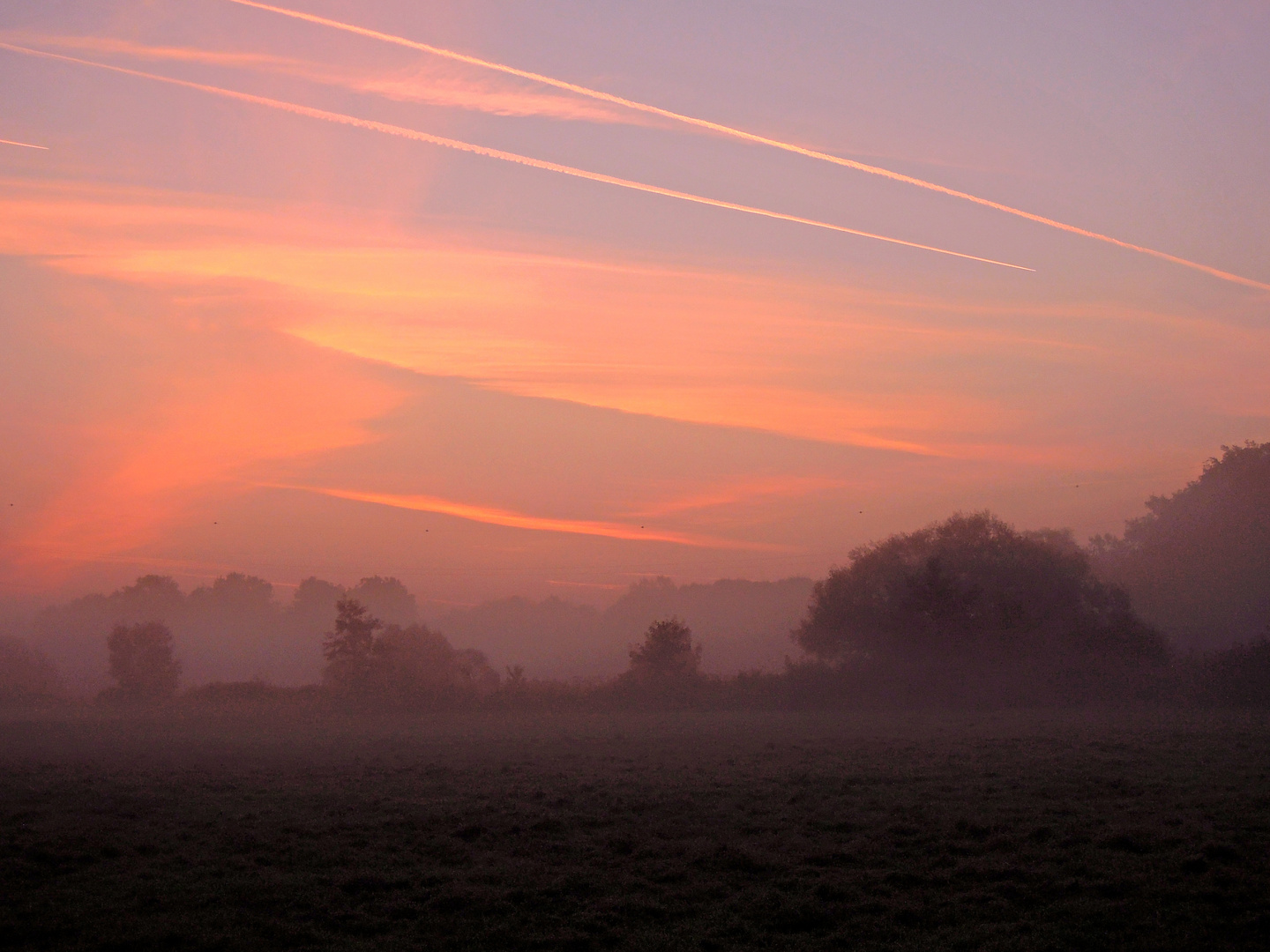 Ein Nebelmorgen