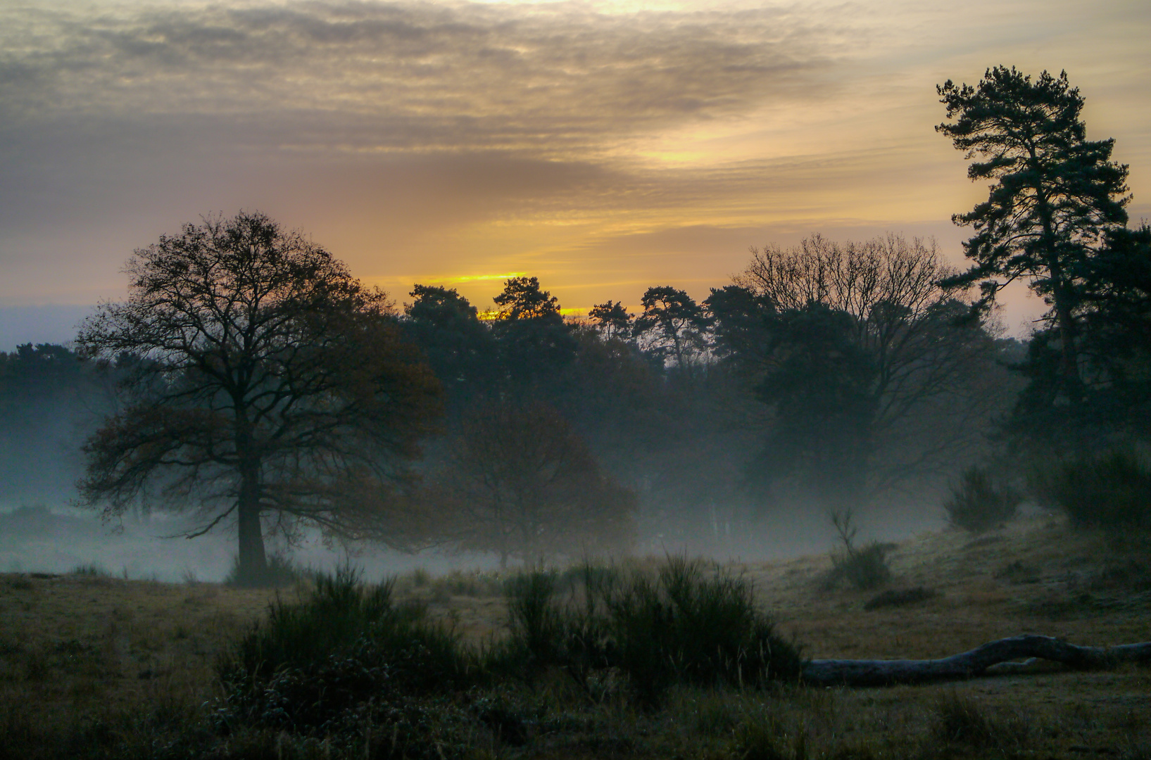 Ein Nebelmorgen