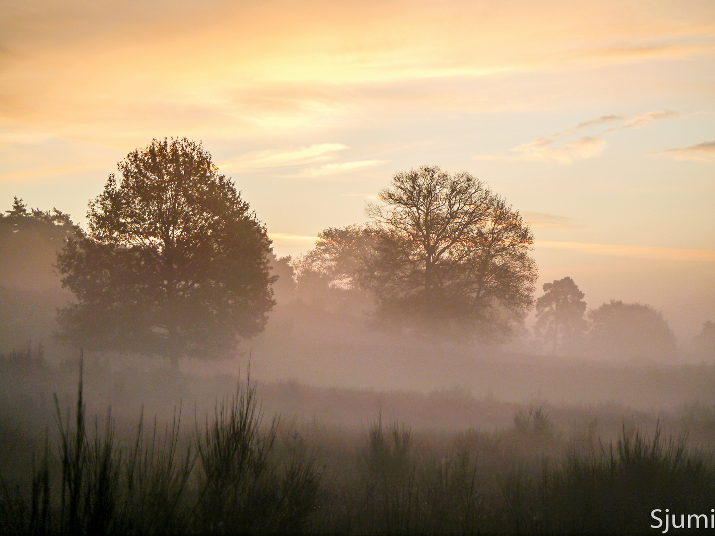 Ein Nebelmorgen