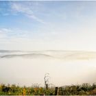 Ein Nebelmorgen im Sauerland