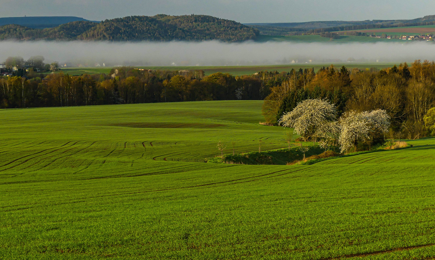 Ein Nebelstreif