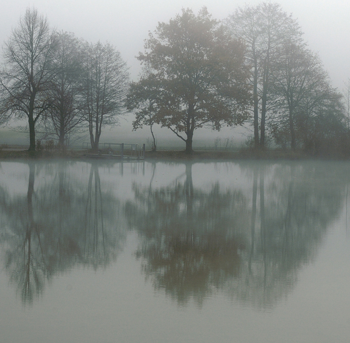 ein Nebeltag am See