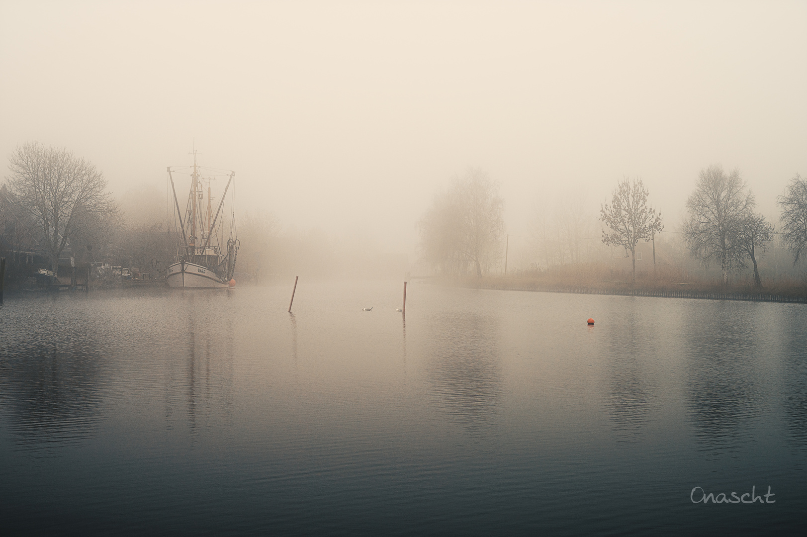 Ein Nebeltag im Hafen