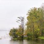 Ein Nebeltag im Oktober