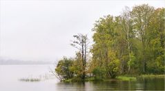 Ein Nebeltag im Oktober