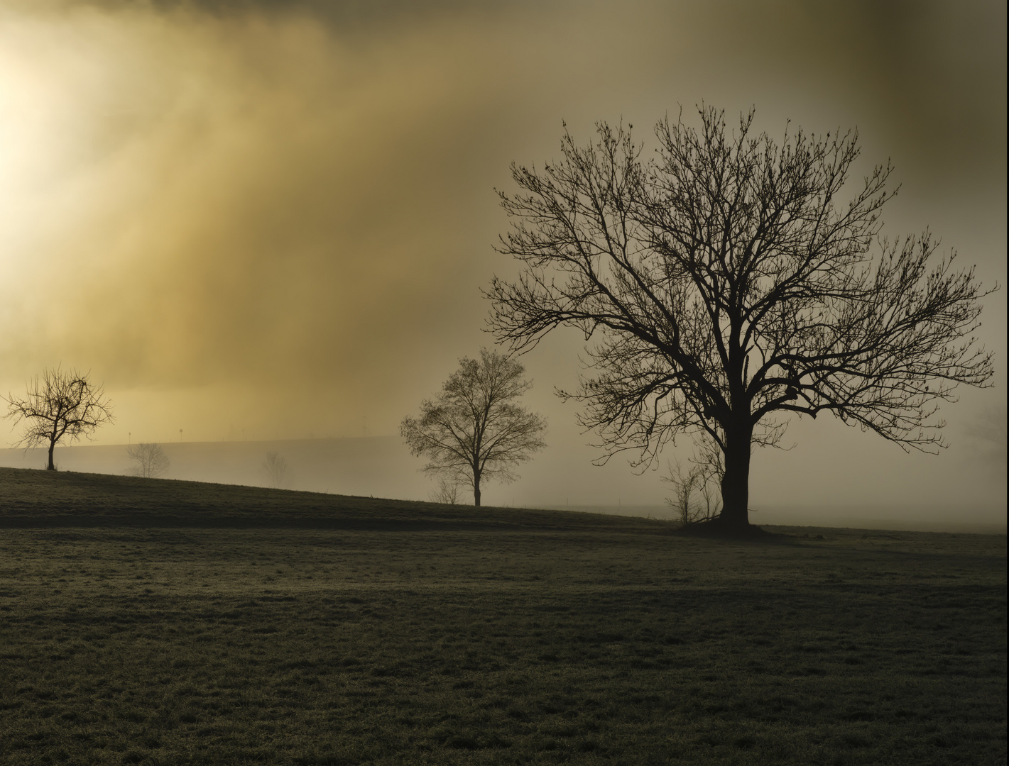 ein neblicher Morgen