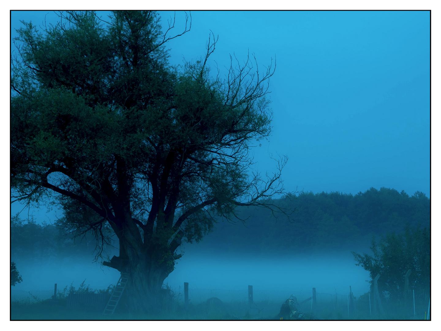 Ein nebliger Abend in Brandenburg