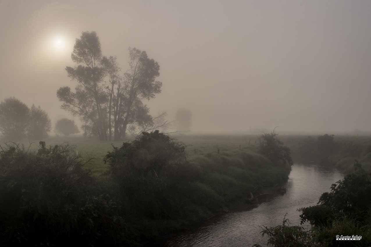 Ein nebliger Morgen