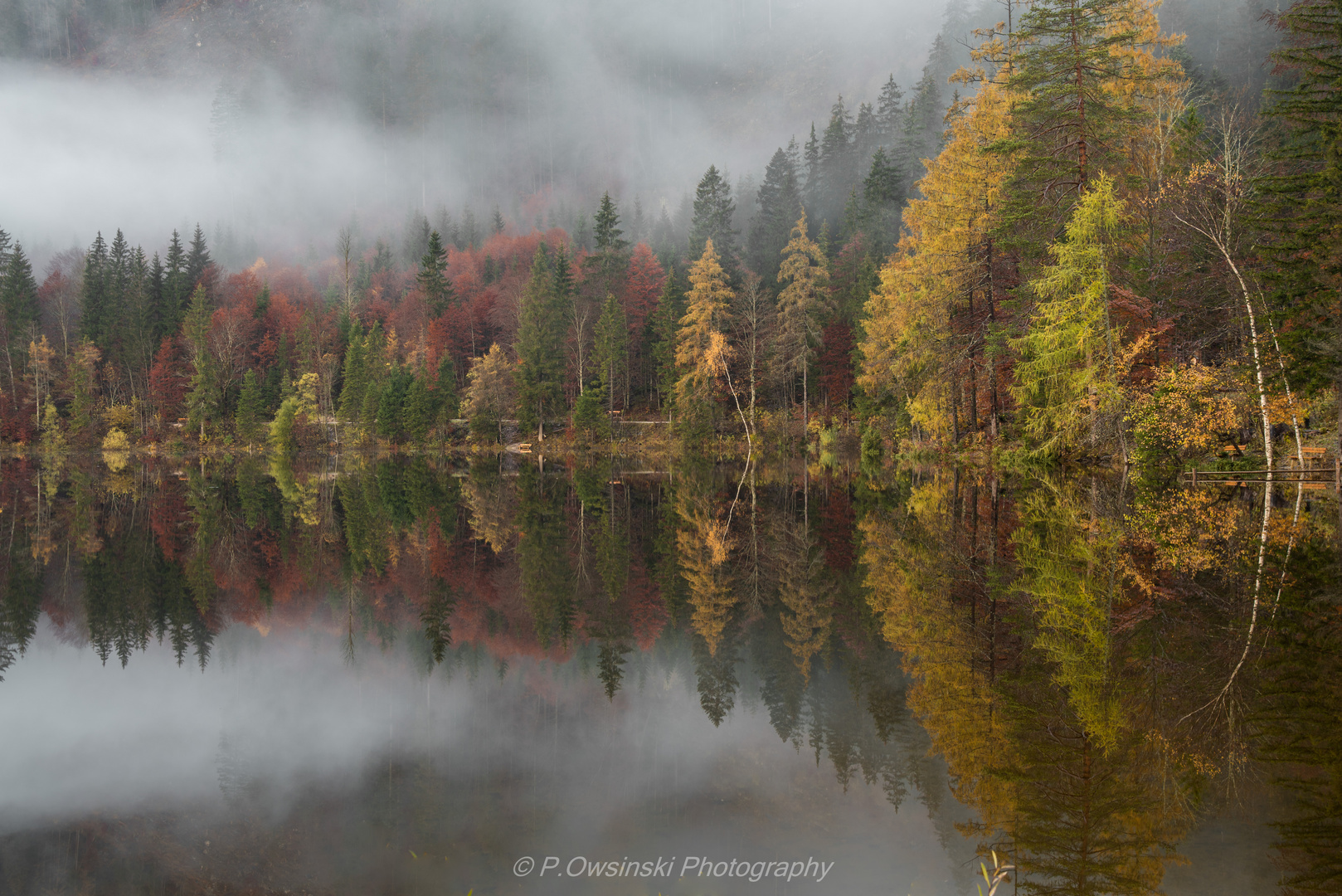 Ein nebliger Morgen am See 