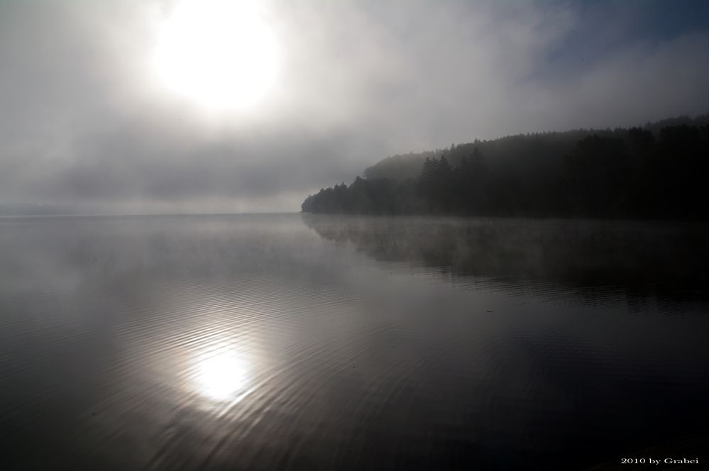 ein nebliger Morgen am See