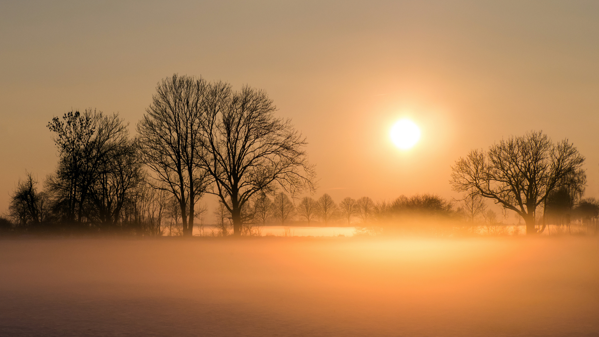 Ein nebliger Sonnenuntergang...