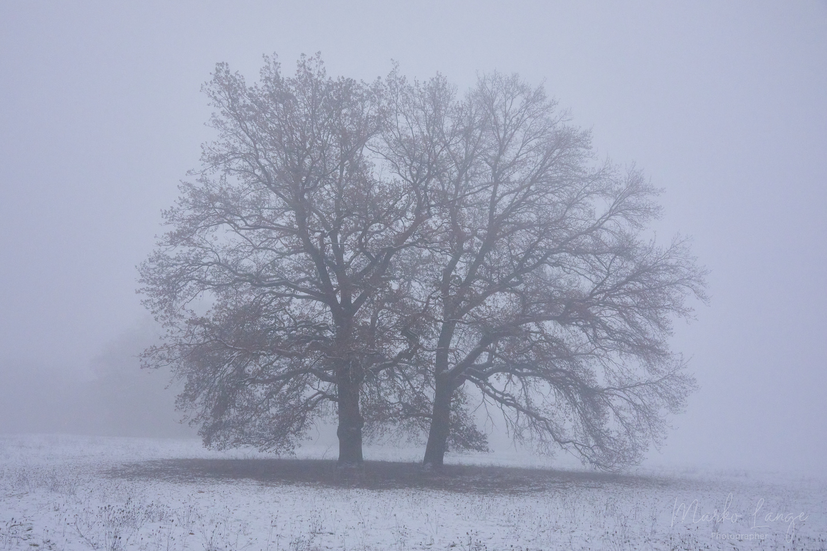 ein nebliger Wintertag