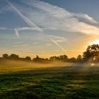 Ein nebliges Lichtspiel