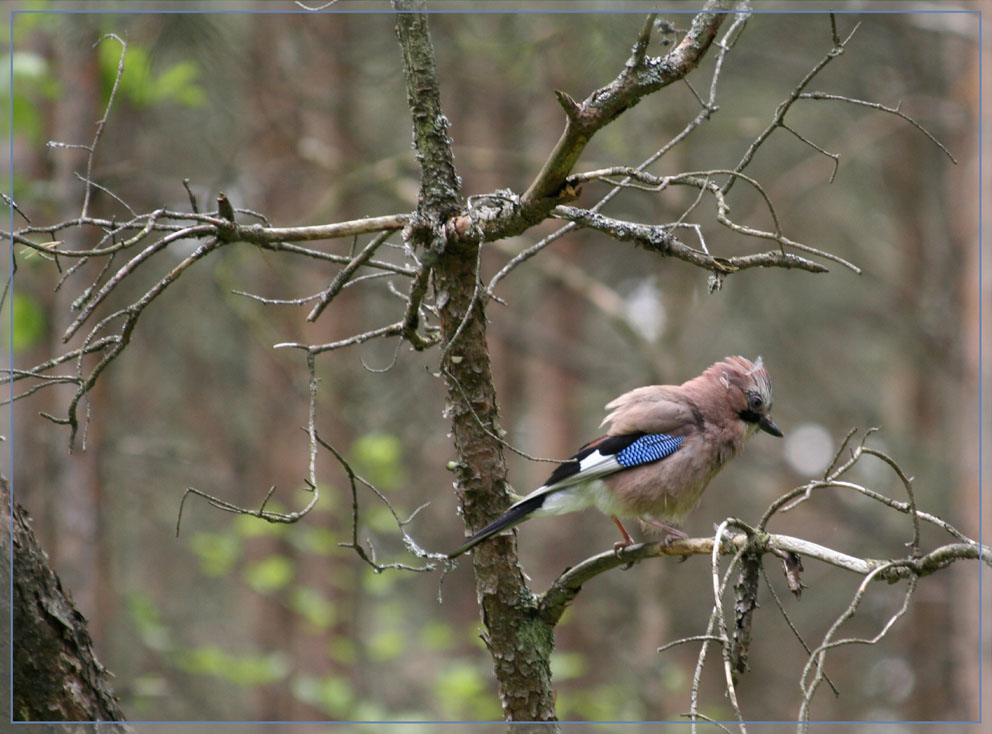 Ein netter Bursche...