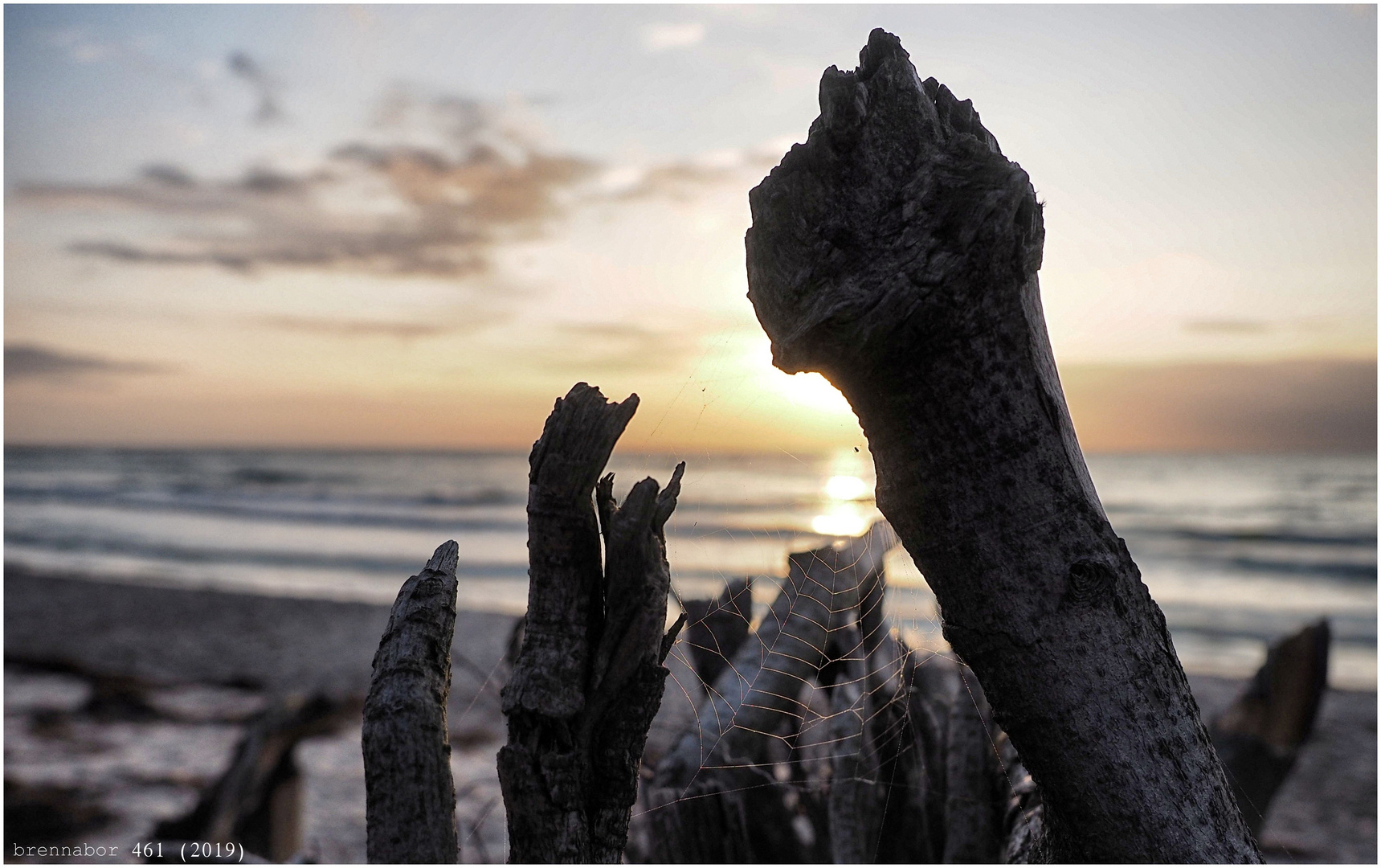 Ein Netz am Ostseestrand