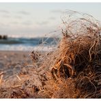 ein Netz am Strand