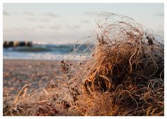 ein Netz am Strand