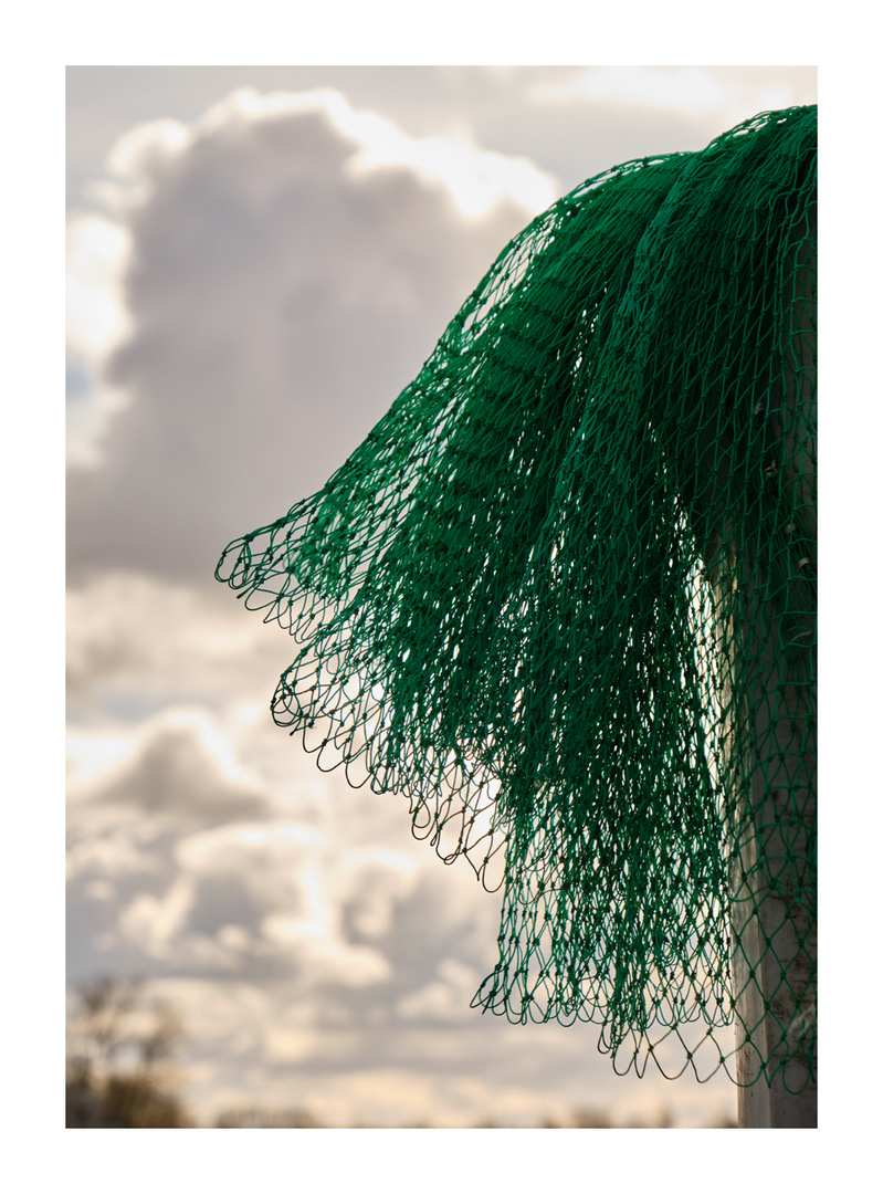 Ein Netz im Wind