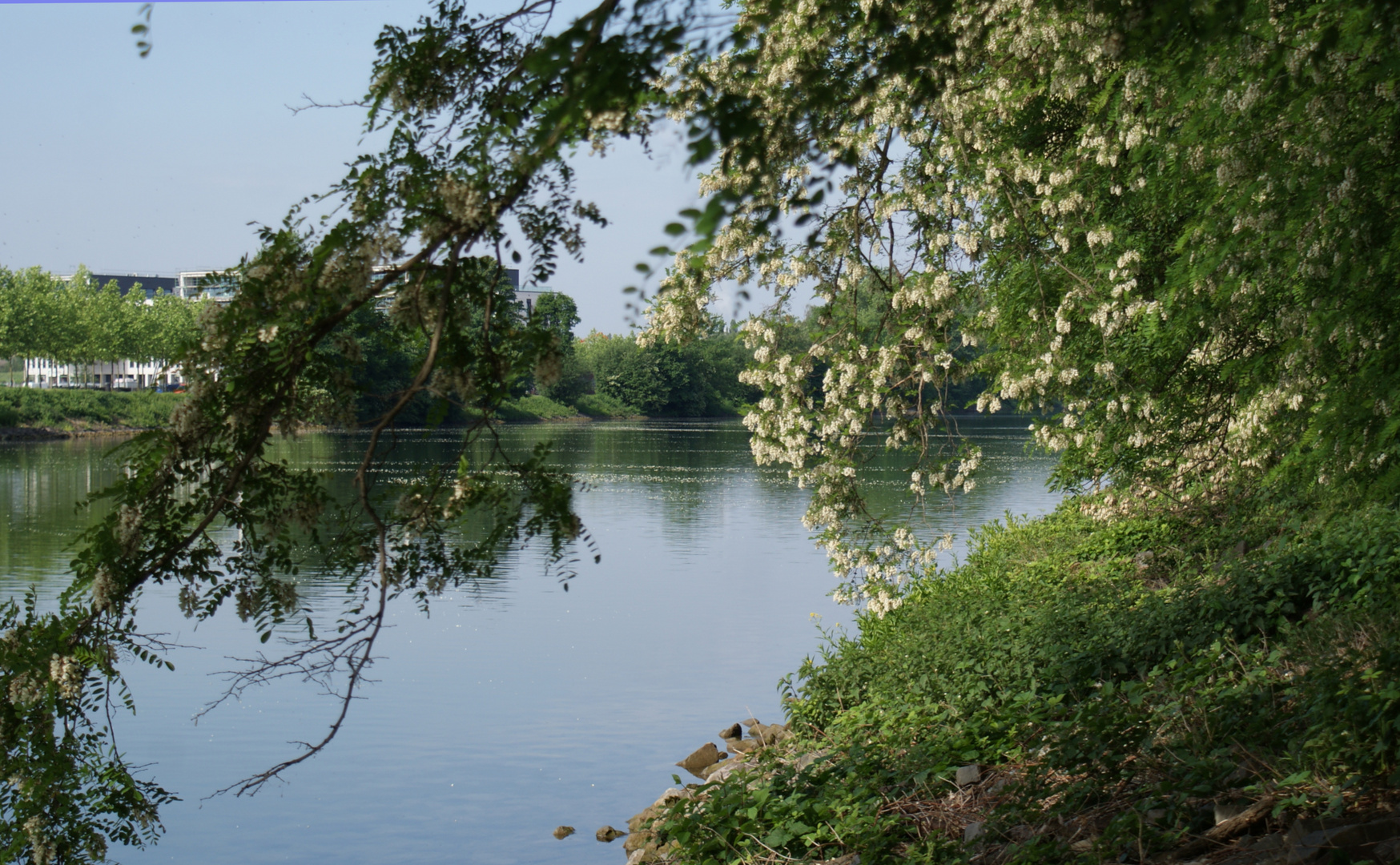 Ein neuer Blick auf den Gelsenkirchener Kanal