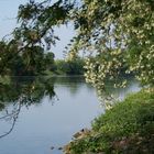 Ein neuer Blick auf den Gelsenkirchener Kanal