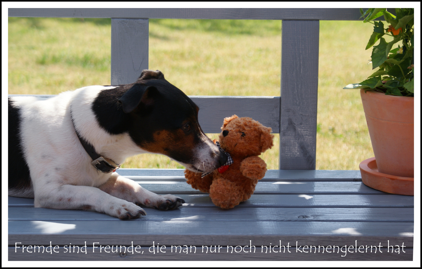 Ein neuer Freund?