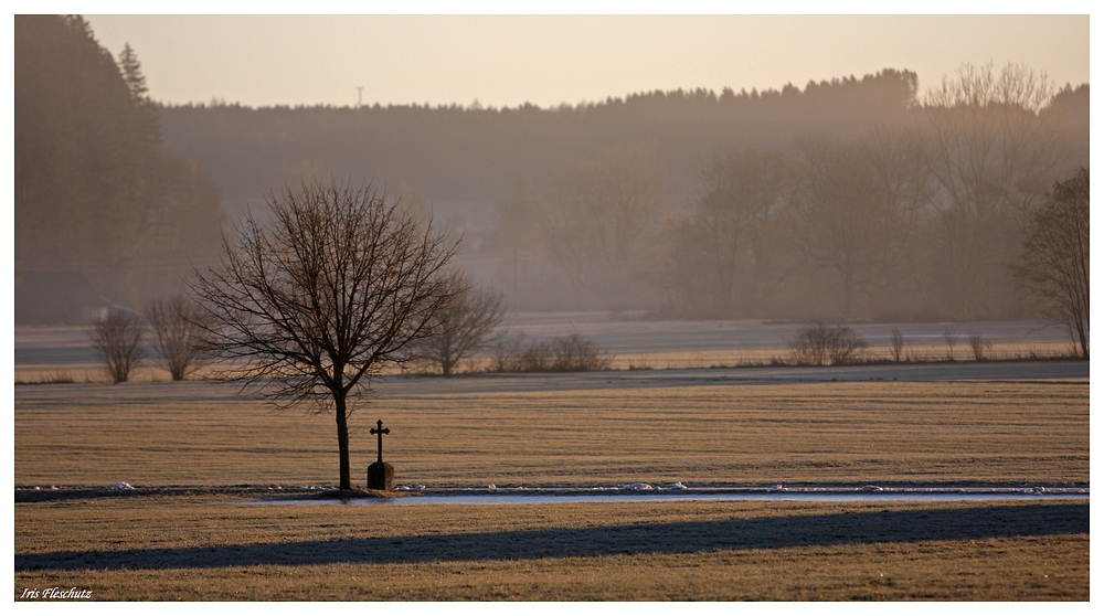 Ein neuer frostiger...