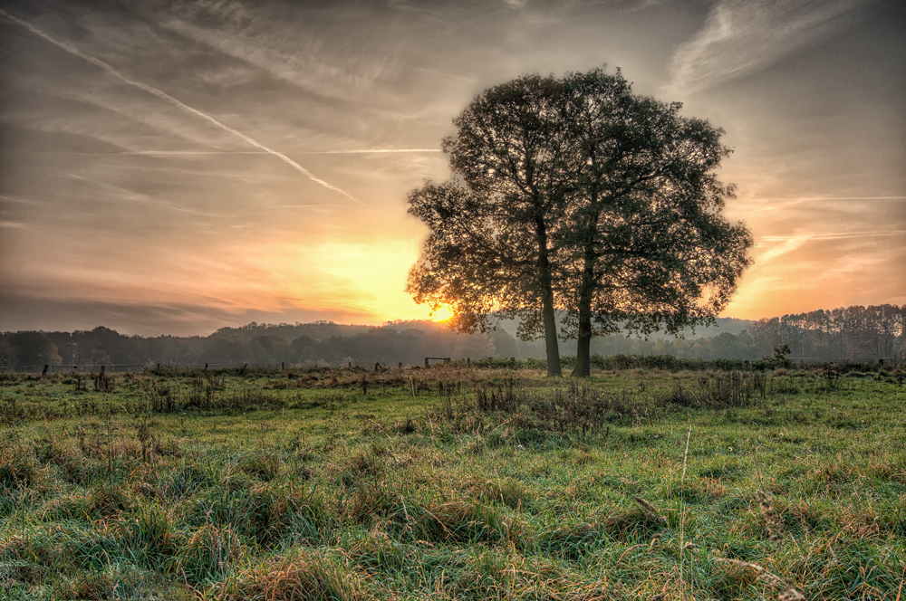 Ein neuer Herbsttag beginnt