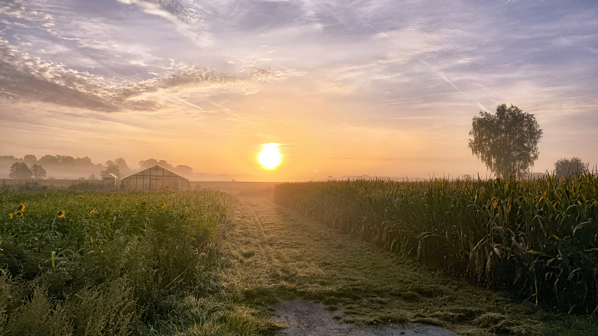 Ein neuer Herbsttag bricht an...