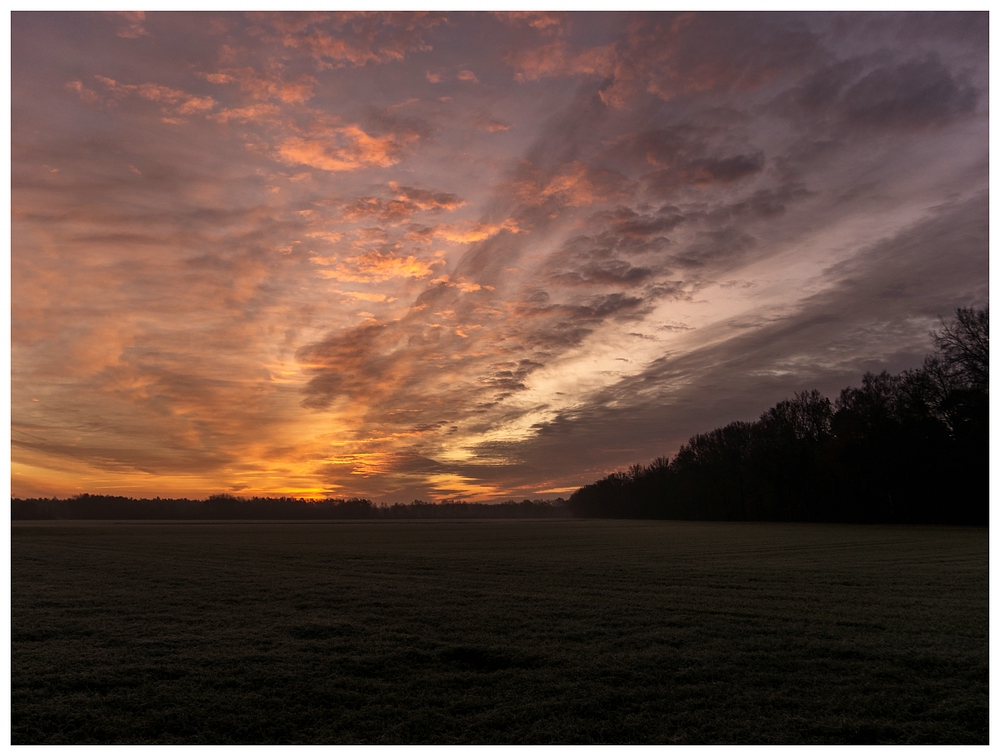 Ein neuer Morgen