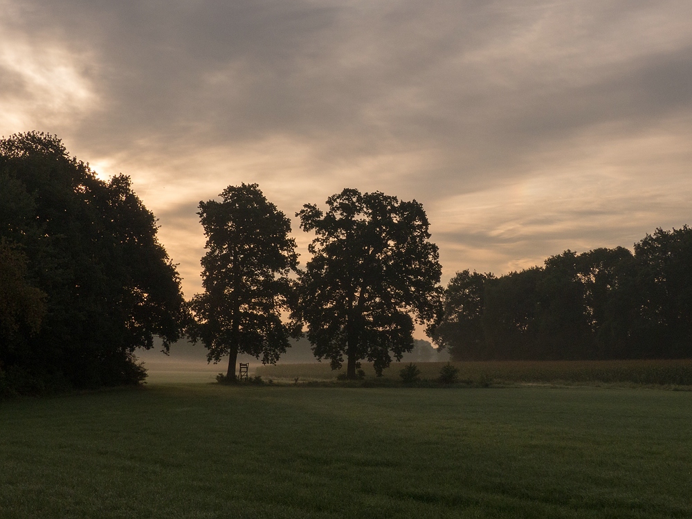 Ein neuer Morgen