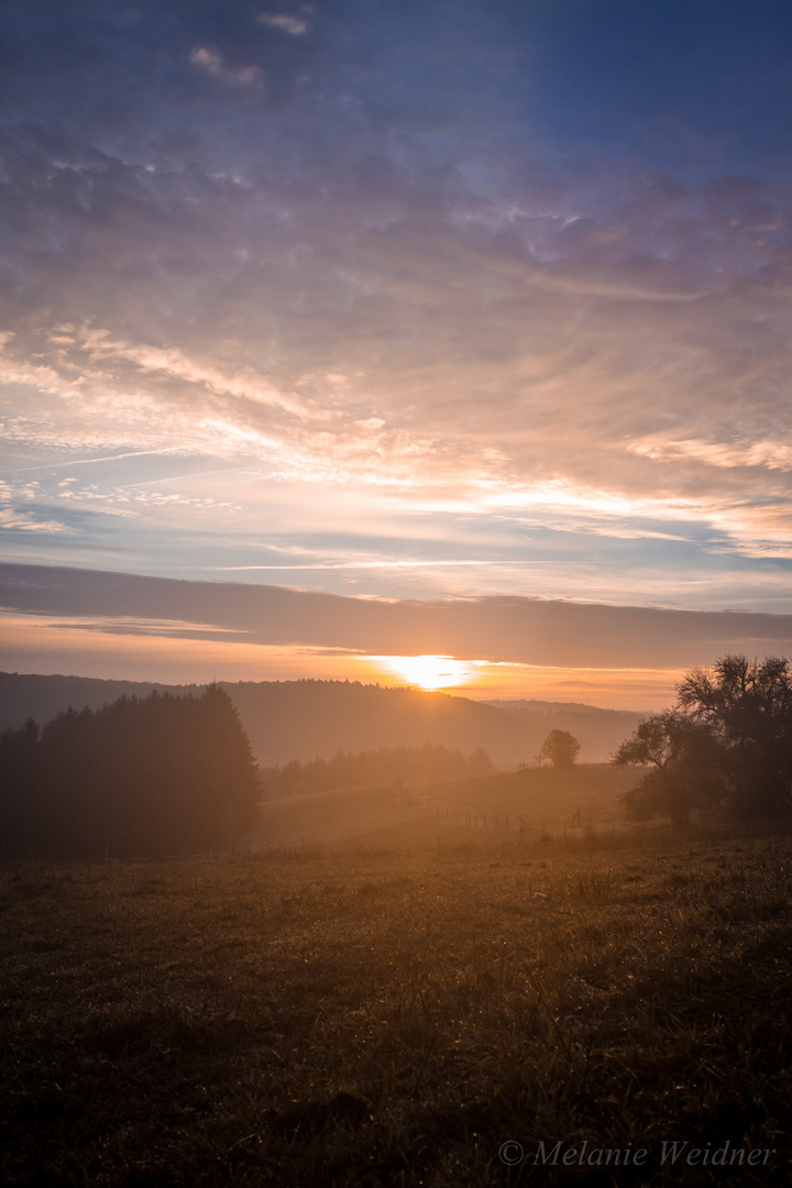 Ein neuer Morgen